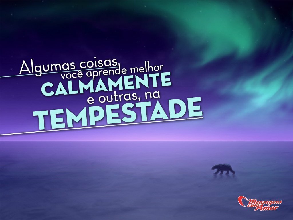 Frases para Incentivar e Motivar Perceba todos os Lados Willa Cather