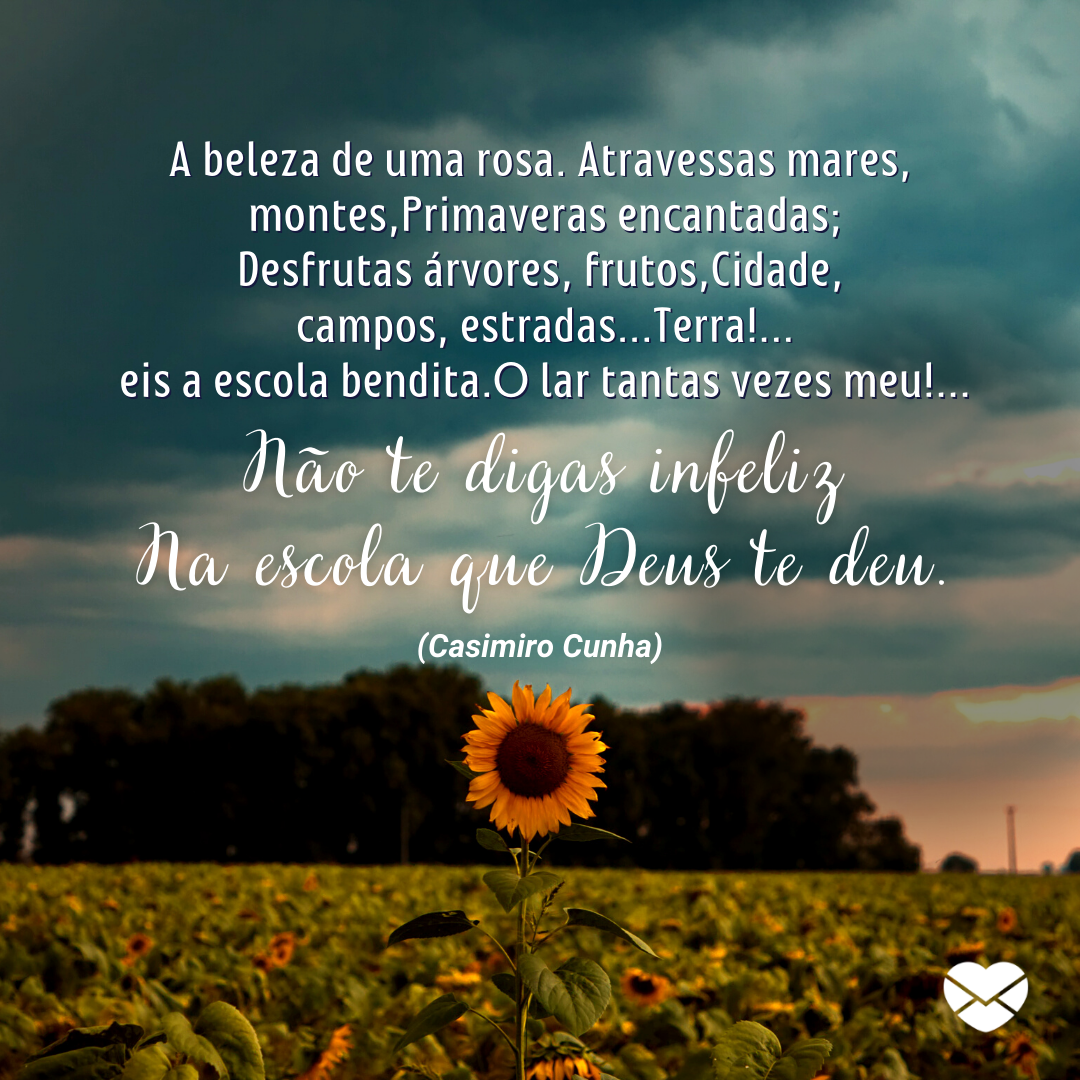 'A beleza de uma rosa. Atravessas mares,  montes,Primaveras encantadas; Desfrutas árvores, frutos, Cidade,  campos, estradas...Terra!...  eis a escola bendita.O lar tantas vezes meu!...Não te digas infeliz Na escola que Deus te deu.(Casimiro Cunha)'' - Mensagens Espíritas