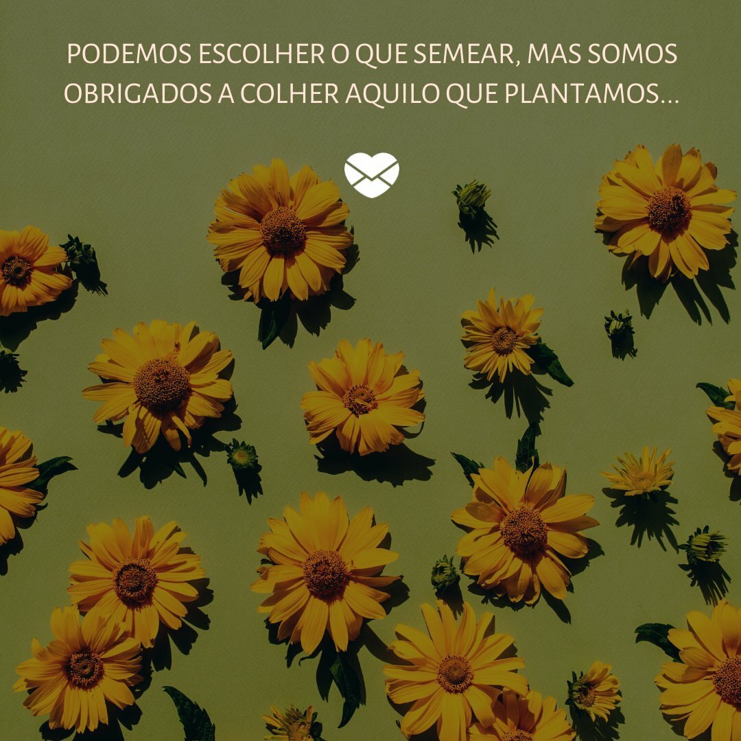 Floral Deco / Canva / Mensagens com amor 'Podemos escolher o que semear, mas somos obrigados a colher aquilo que plantamos...' - Pensamentos do dia