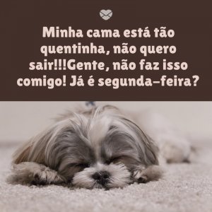 Mensagens Com Amor/ Canva 'Minha cama está tão quentinha, não quero sair!!!Gente, não faz isso comigo! Já é segunda-feira?' -Segunda-feira de sono