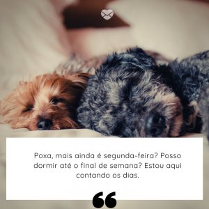 Mensagens Com Amor/ Canva 'Poxa, mais ainda é segunda-feira? Posso dormir até o final de semana? Estou aqui contando os dias.' -Segunda-feira de sono