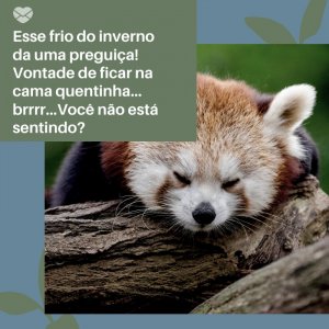 Mensagens Com Amor/ Canva 'Esse frio do inverno da uma preguiça! Vontade de ficar na cama quentinha... brrrr...Você não está sentindo?' -Segunda-feira de sono