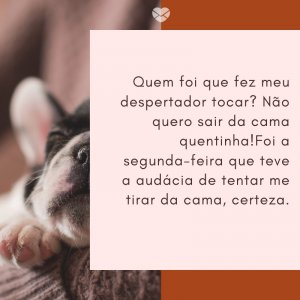 Mensagens Com Amor/ Canva 'Quem foi que fez meu despertador tocar? Não quero sair da cama quentinha!Foi a segunda-feira que teve a audácia de tentar me tirar da cama, certeza.' -Segunda-feira de sono