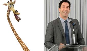 Montagem de personagem Melman do filme 'Madagascar' e foto de David Schwimmer