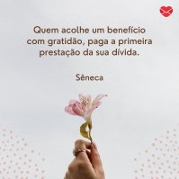 Pexels - Daria Shevtsova Mulher em varanda com vasos de flores vermelhas e rosas. A mulher está de frente para uma pequena mesa, digitando em seu computador. Ela usa camisa rosa e um chapéu preto.
