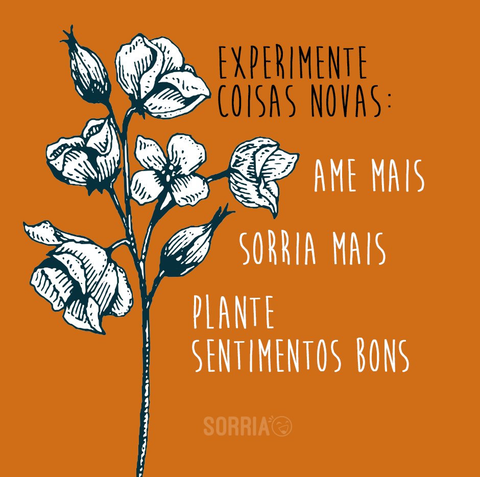 'Experimente coisas novas: ame mais, sorria mais, plante sentimentos bons' - Parabéns, prima!