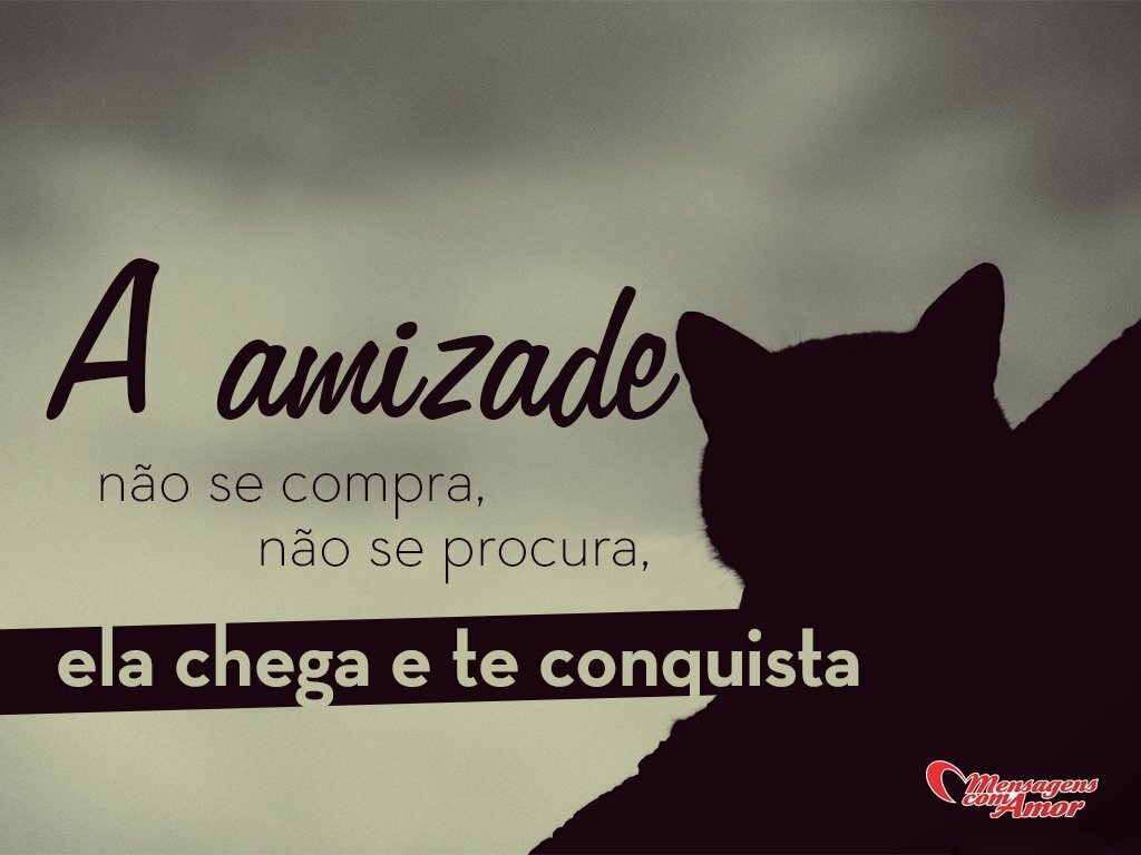Leis para cada um saber até onde pode ir o melhor amigo A amizade n£o se pra n£o se procura ela chega e te conquista