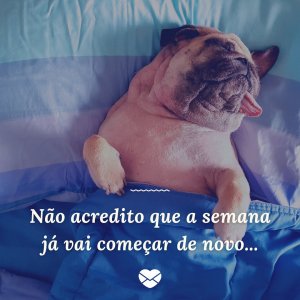 'Não acredito que a semana já vai começar de novo...' - Noite de Domingo