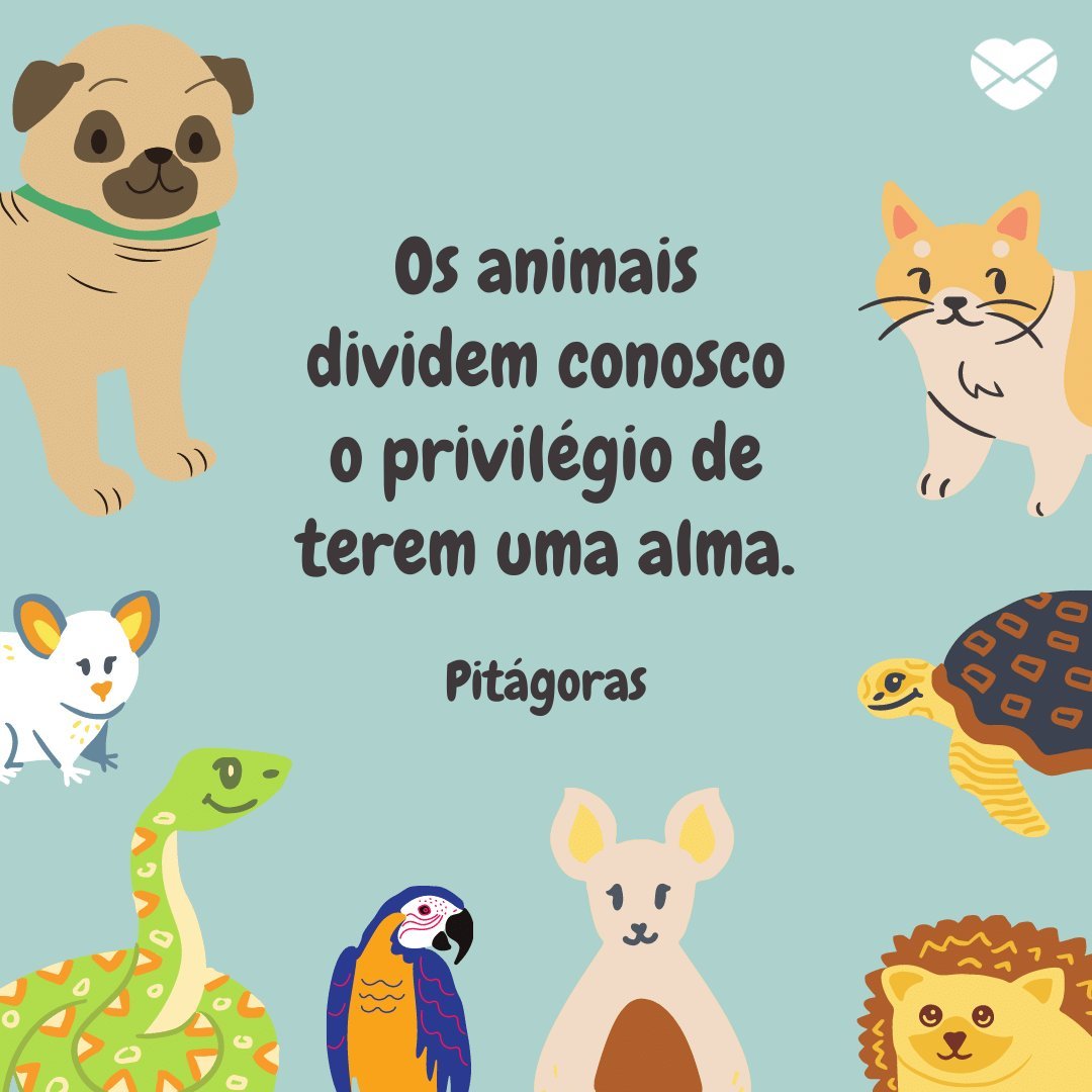 'Os animais dividem conosco o privilégio de terem uma alma. Pitágoras' - Frases Dia do Veterinário