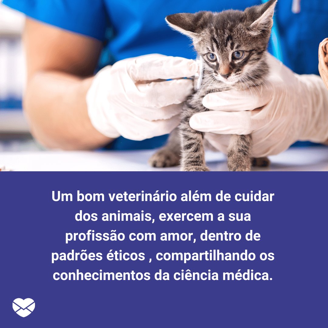 'Um bom veterinário além de cuidar dos animais, exercem a sua profissão com amor, dentro de padrões éticos , compartilhando os conhecimentos da ciência médica.' - Frases Dia do Veterinário