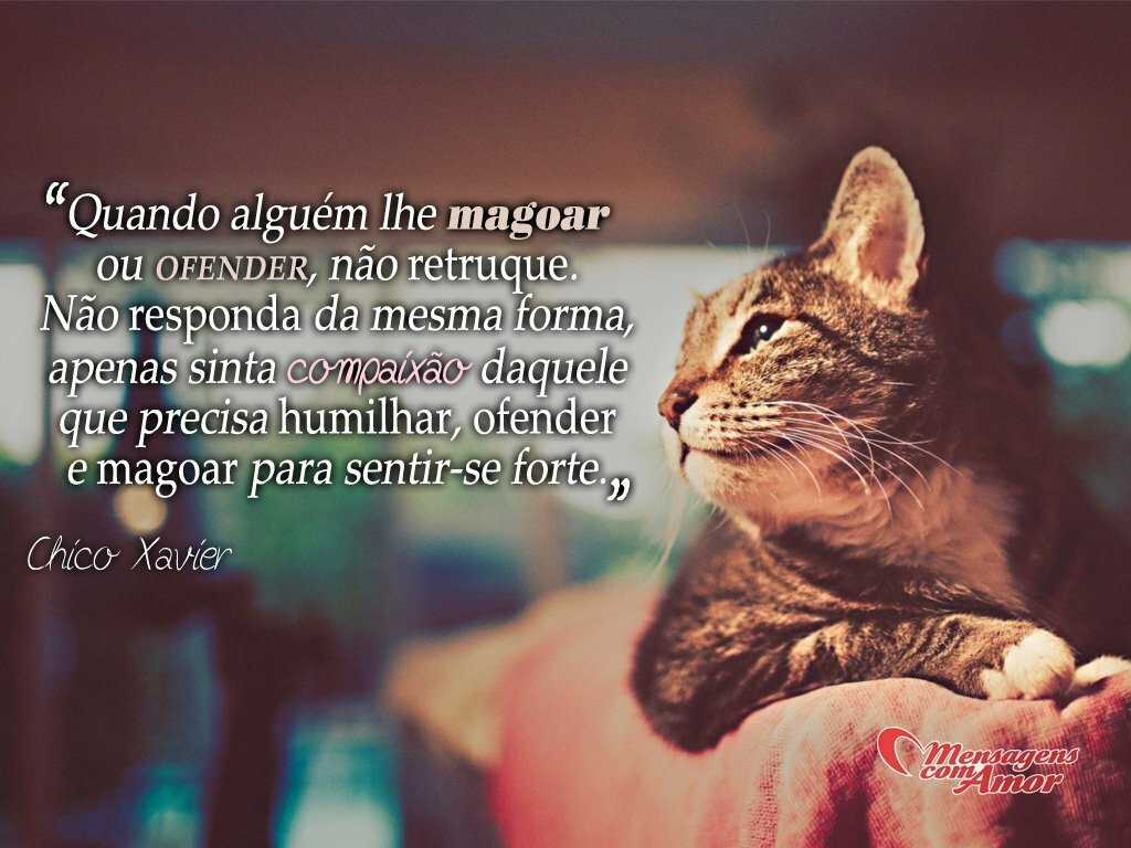 Frases de celebridade Imagens famosas Tudo isso aqui Chico Xavier