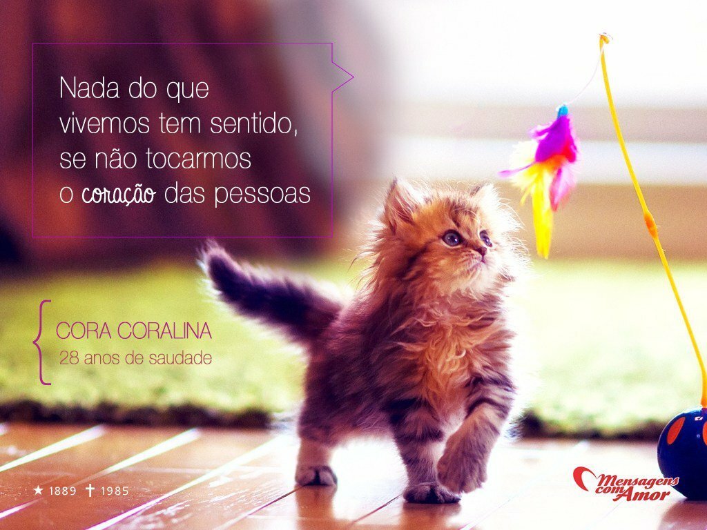 Frases de celebridade Imagens famosas Tudo isso aqui Cora Coralina