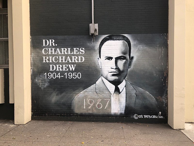 Mural do Doutor Charles R. Drew no Campus Educacional / Escola Intermediária Charles Richard Drew no Bronx, NY