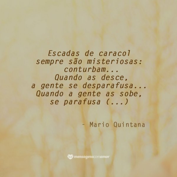 Pequenas poesias bonitas. Inspiração para o seu dia!