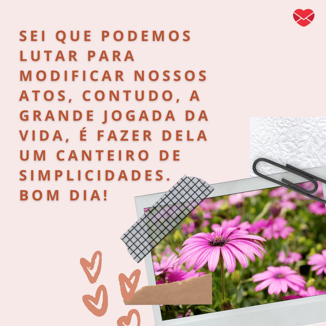 'Sei que podemos lutar para modificar nossos atos, contudo, a grande jogada da vida, é fazer dela um canteiro de simplicidades. Bom dia!' - Frases de Bom Dia