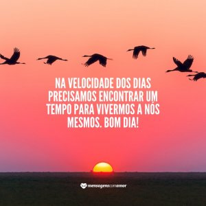 Mensagens com Amor 'Na velocidade dos dias precisamos encontrar um tempo para vivermos a nós mesmos. Bom dia!' - Frases de Bom Dia