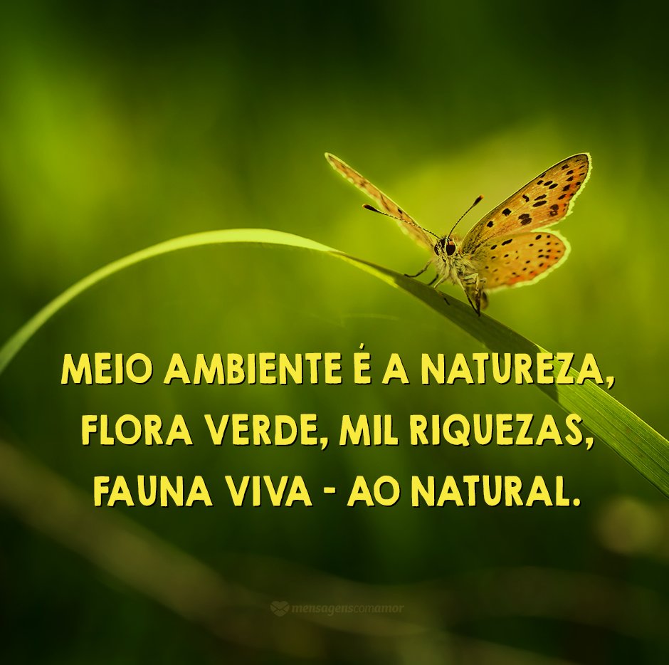 'Meio ambiente é a natureza, flora verde, mil riquezas, fauna viva - ao natural.' -  Poemas sobre o Meio Ambiente