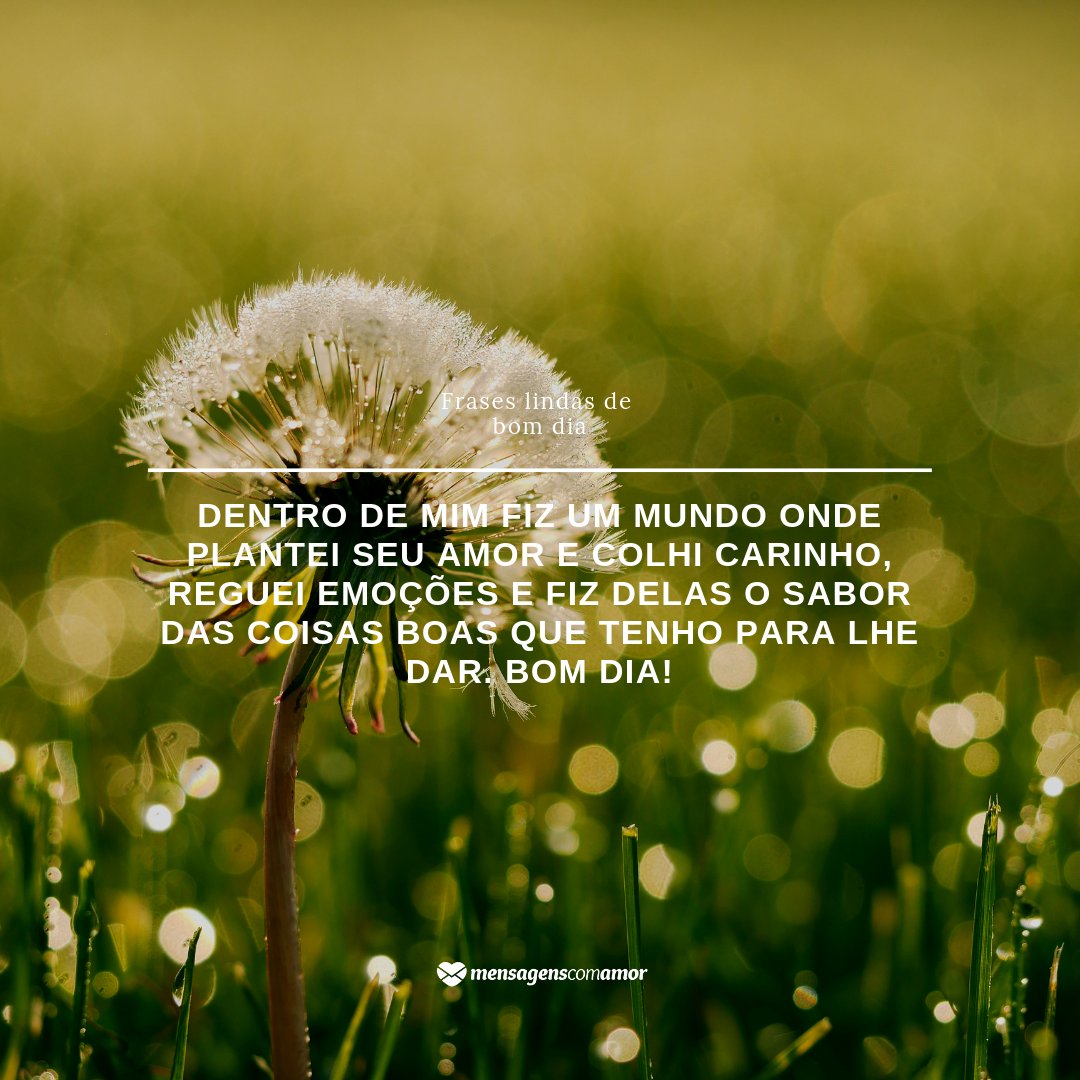 Frases lindas de bom dia para você começar o dia bem! Frases lindas de bom dia para você começar o dia bem!