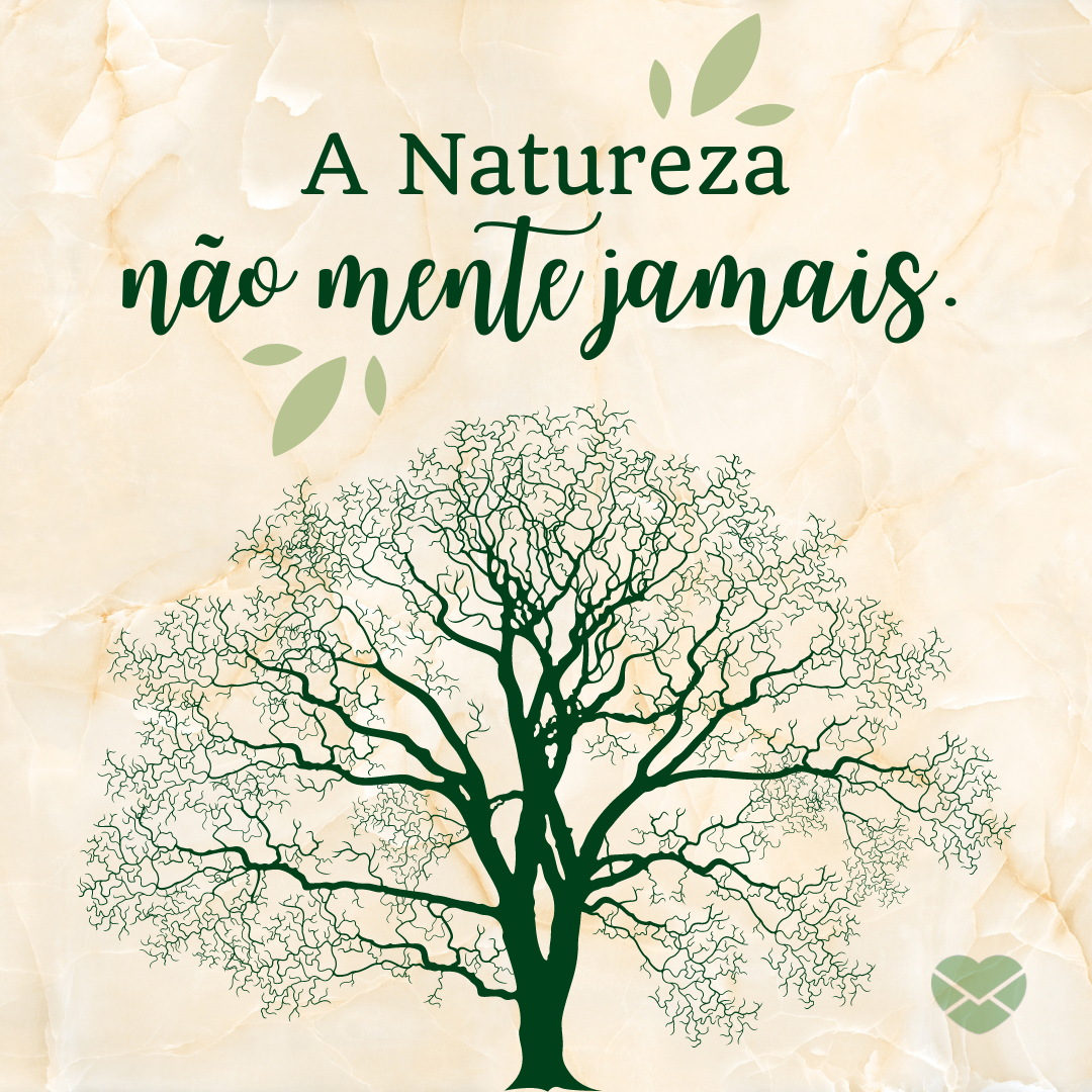 'A Natureza não mente jamais.' - Frases Dia da Árvore