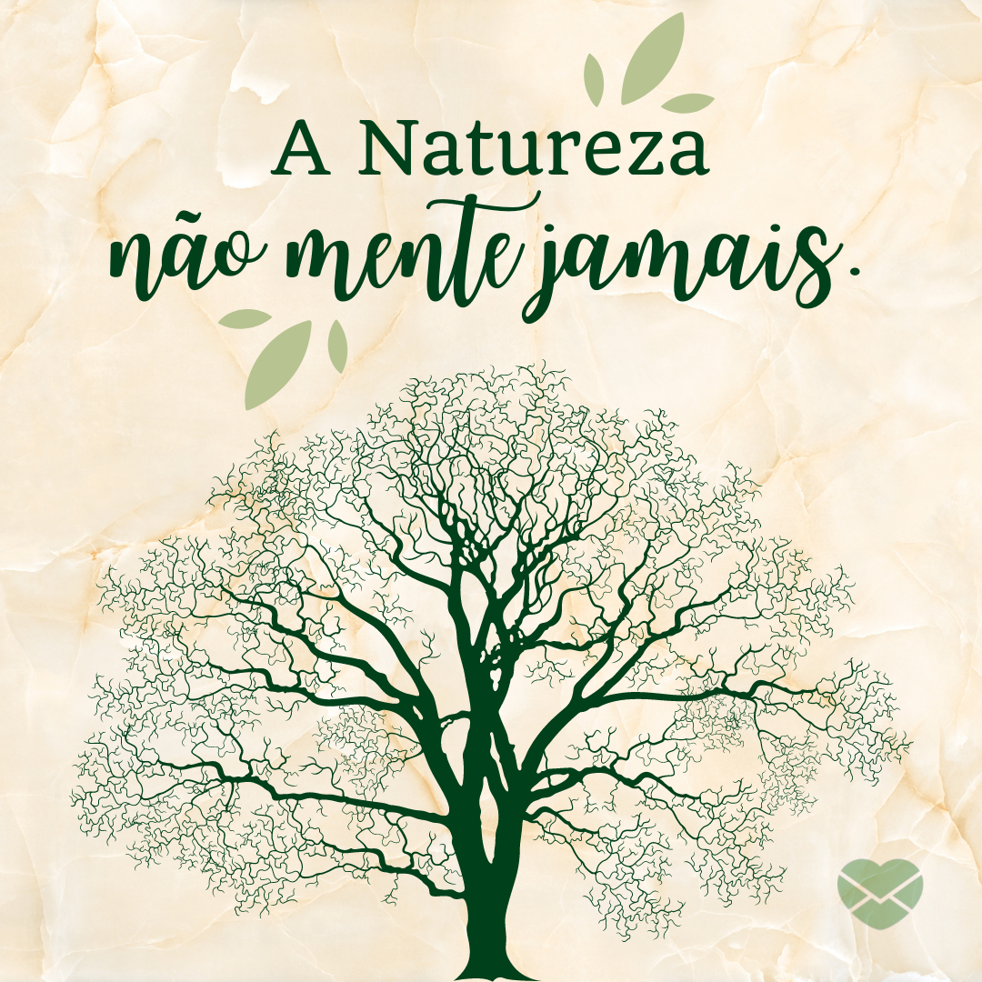 Reflita sobre a preservação com frases sobre o Dia da Árvore Reflita sobre a preservação com frases sobre o Dia da Árvore