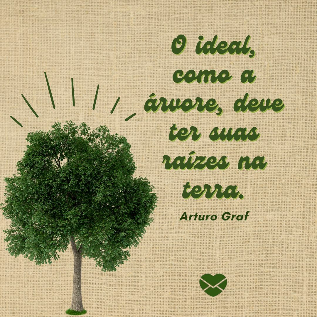 Reflita sobre a preservação com frases sobre o Dia da Árvore