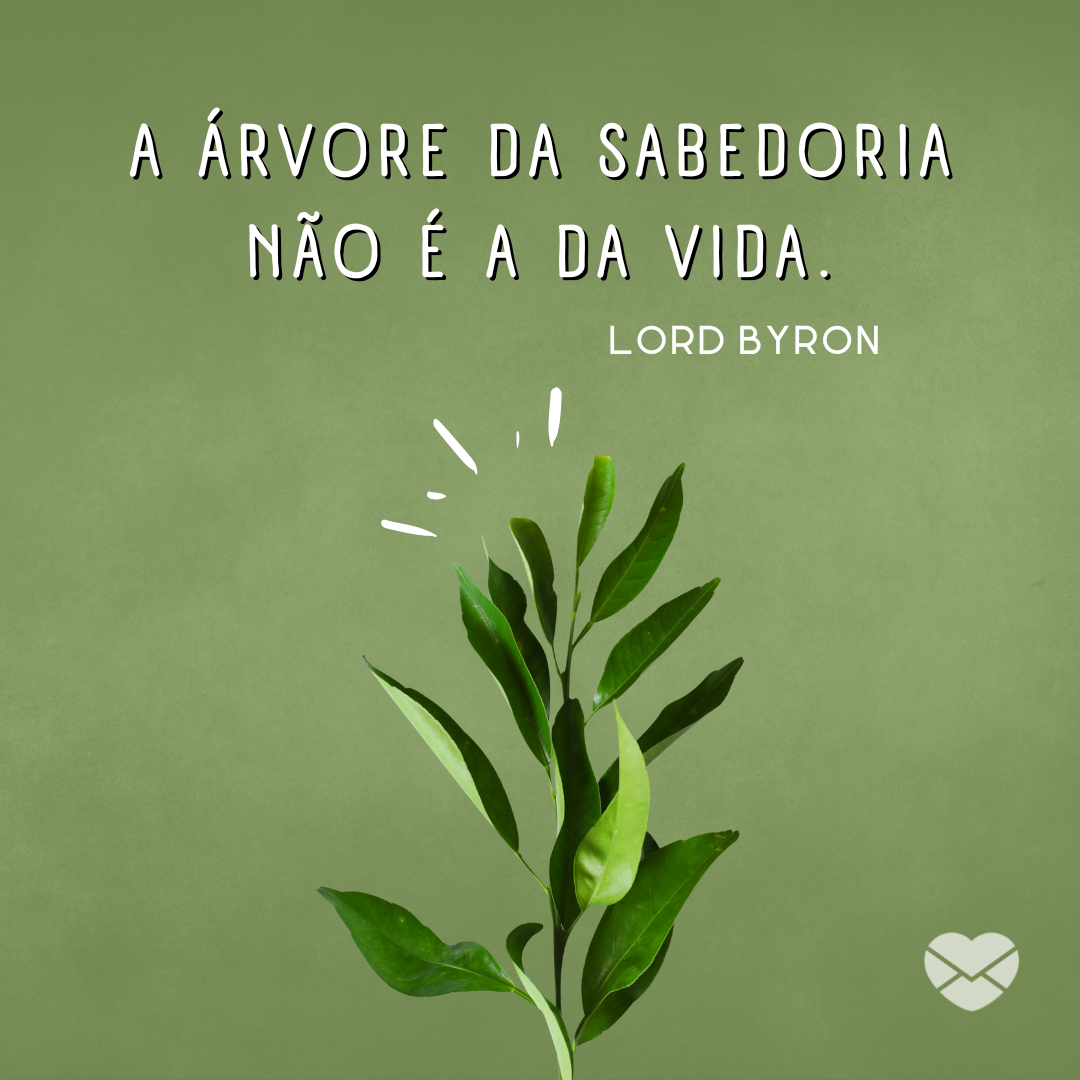 'A árvore da sabedoria não é a da vida. Lord Byron' - Frases Dia da Árvore