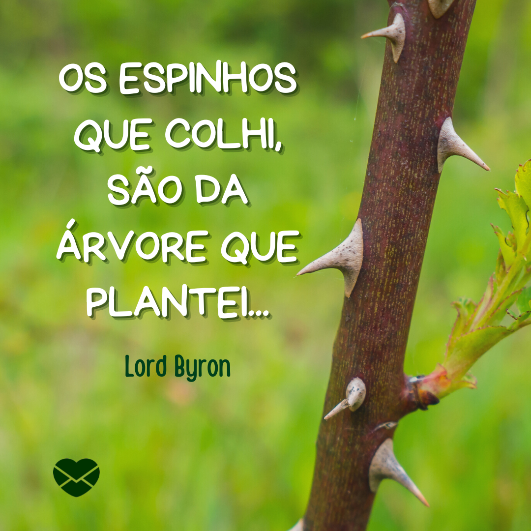 Reflita sobre a preservação com frases sobre o Dia da Árvore Reflita sobre a preservação com frases sobre o Dia da Árvore