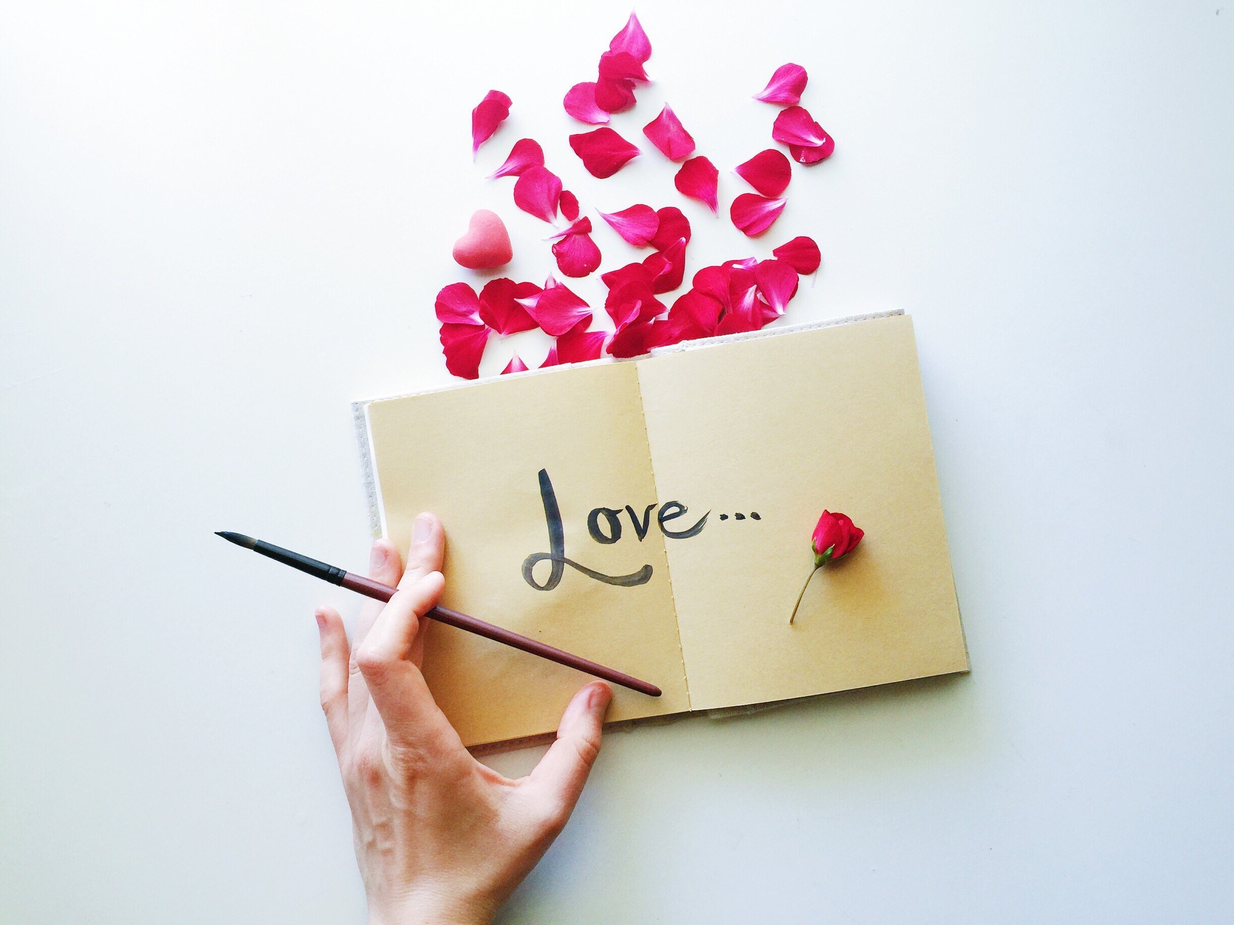 Caderno escrito 'amor' em inglês com algumas pétalas de flor na parte da frente do caderno
