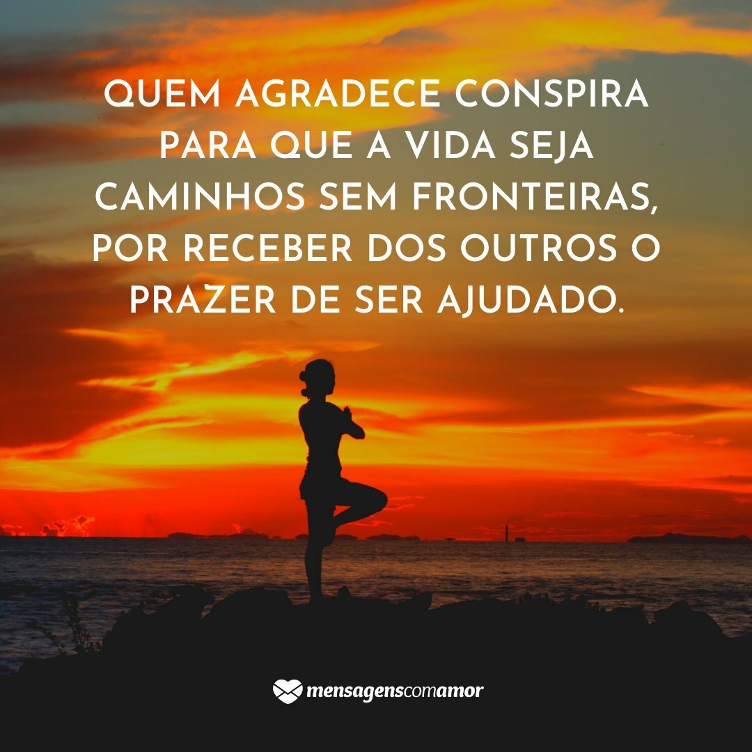 Frases bonitas de agradecimento: demonstre sua gratidão!