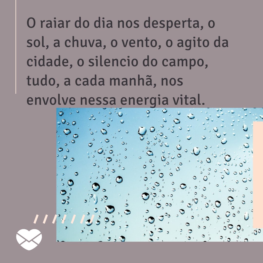 'O raiar do dia nos desperta, o sol, a chuva, o vento, o agito da cidade, o silencio do campo, tudo, a cada manhã, nos envolve nessa energia vital.' - Textos carinhosos de Bom Dia