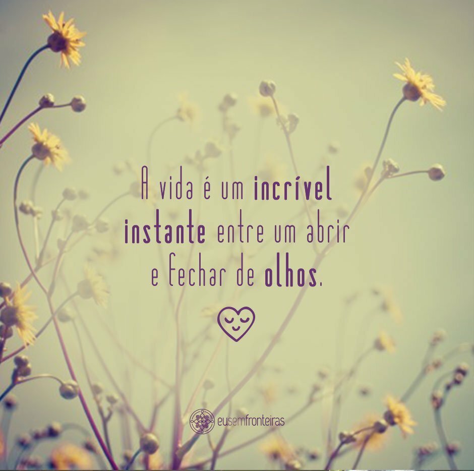 Nas Escrituras - João 11:25-26 - Luto Nas Escrituras - João 11:25-26 - Luto