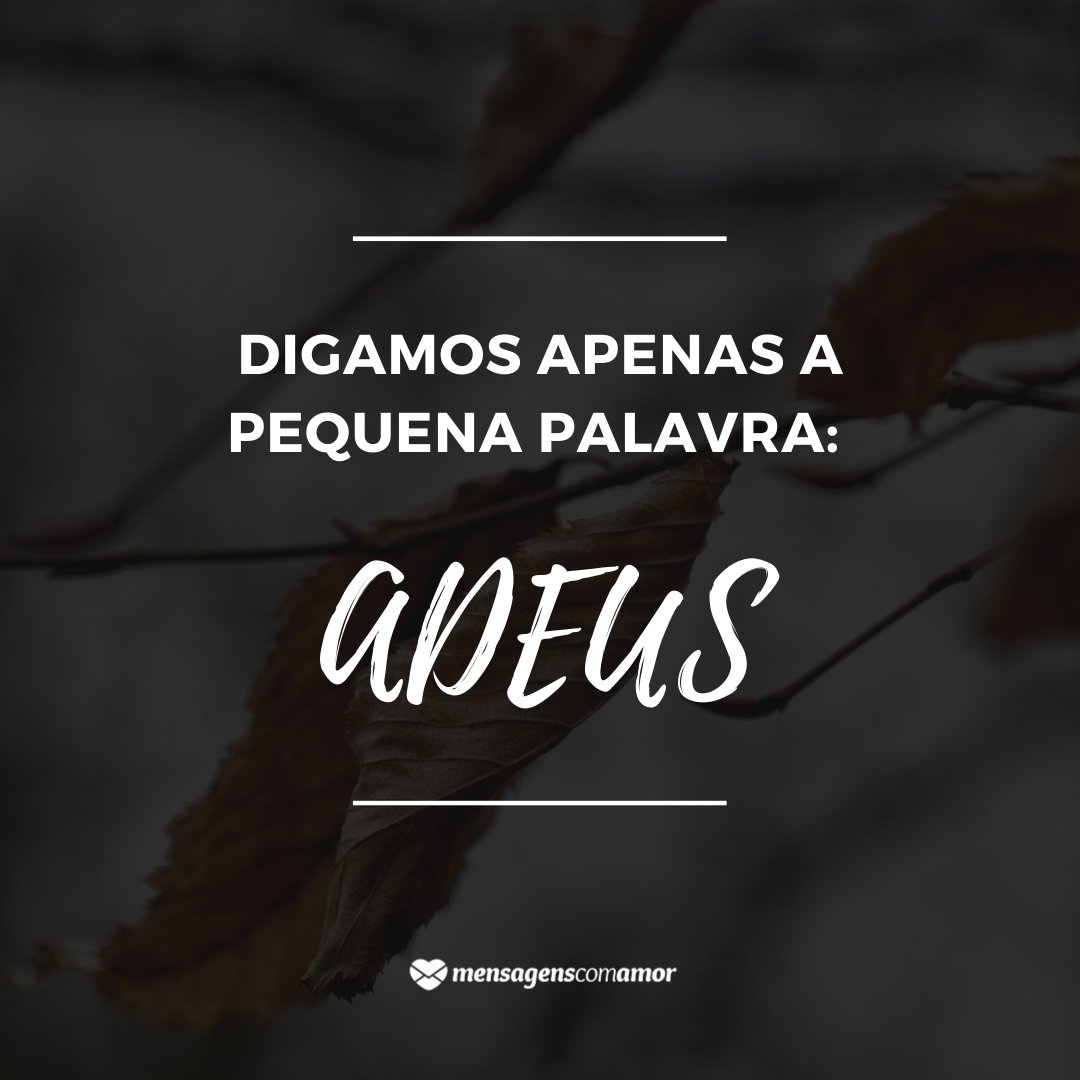 'Digamos apenas a pequena palavra: adeus' - Mensagens de adeus e luto