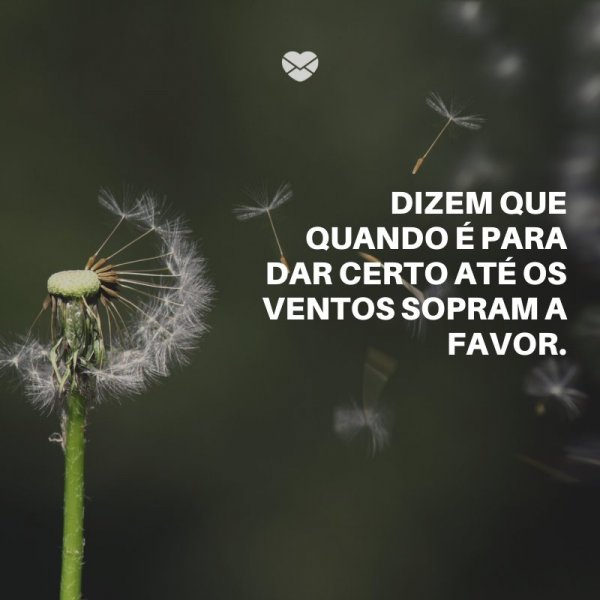 Mensagens Com Amor/ Canva 'Dizem que quando é para dar certo até os ventos sopram a favor.' -Mensagens de Incentivo