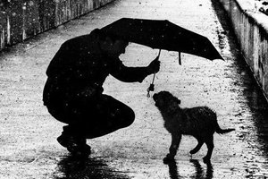 Silhueta de homem segurando guarda-chuva para cachorro