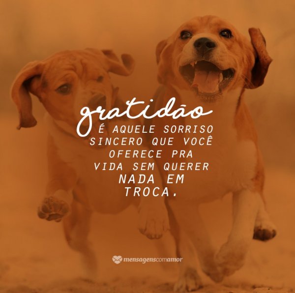 Mensagens Com Amor 'Gratidão é aquele sorriso sincero que você oferece pra vida sem querer nada em troca.' - Parabéns para Melhor Amiga