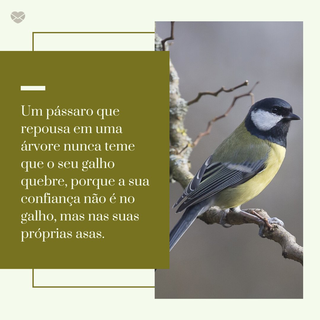 'Um pássaro que repousa em uma árvore nunca teme que o seu galho quebre, porque a sua confiança não é no galho, mas nas suas próprias asas.' - Acredite em Si Mesmo