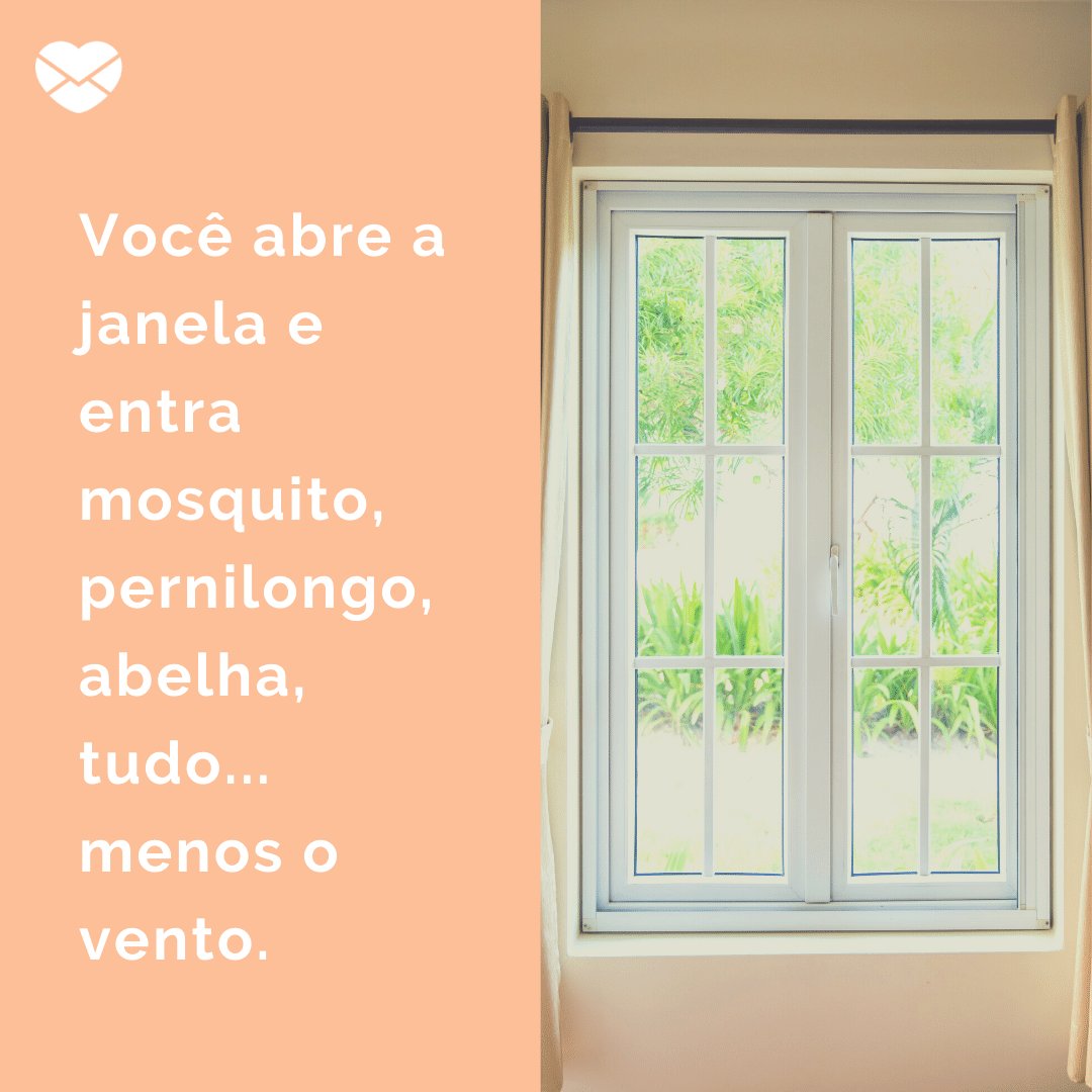 Você abre a janela e entra mosquito, pernilongo, abelha, tudo... menos o vento. - Frases sobre o Calor