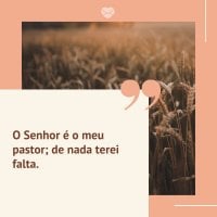 Foco em olho feminino, e luzes desfocadas ao fundo.