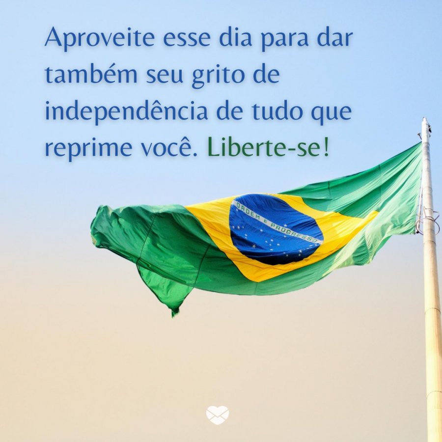 Independência Do Brasil Entenda Sua Importância Histórica 8318