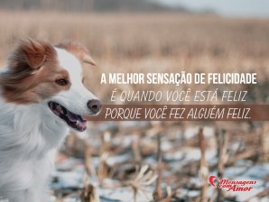 'A melhor sensação de felicidade é quando você está feliz quando você faz alguém feliz.' - Imagens sobre Felicidade