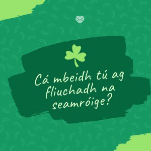 Mensagens Com Amor/ Canva 'Cá mbeidh tú ag fliuchadh na seamróige?' - Mensagens para o Dia de São Patrício