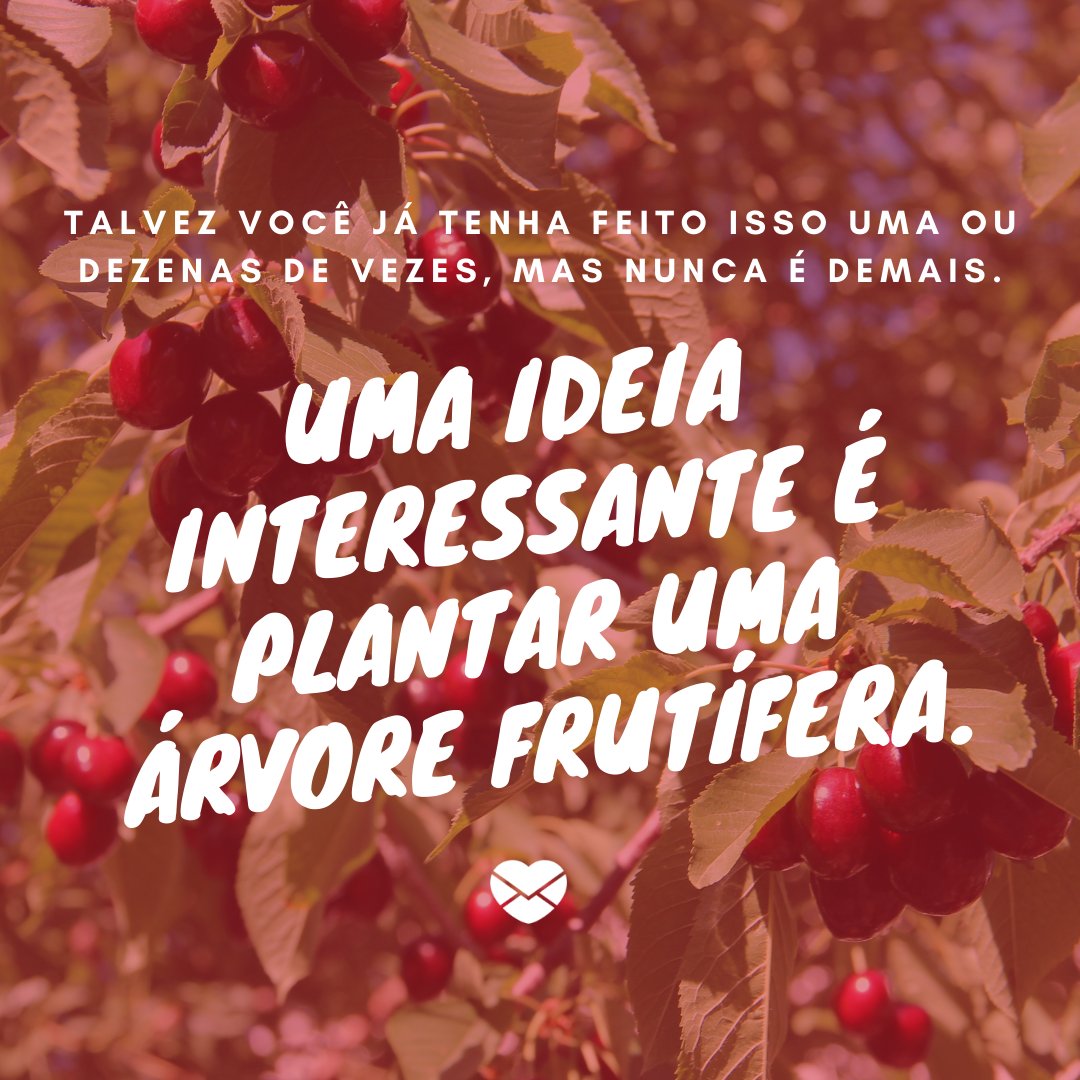 'Talvez você já tenha feito isso uma ou dezenas de vezes, mas nunca é demais. Uma ideia interessante é plantar uma árvore frutífera.' - Dicas para tornar o mundo mais sustentável