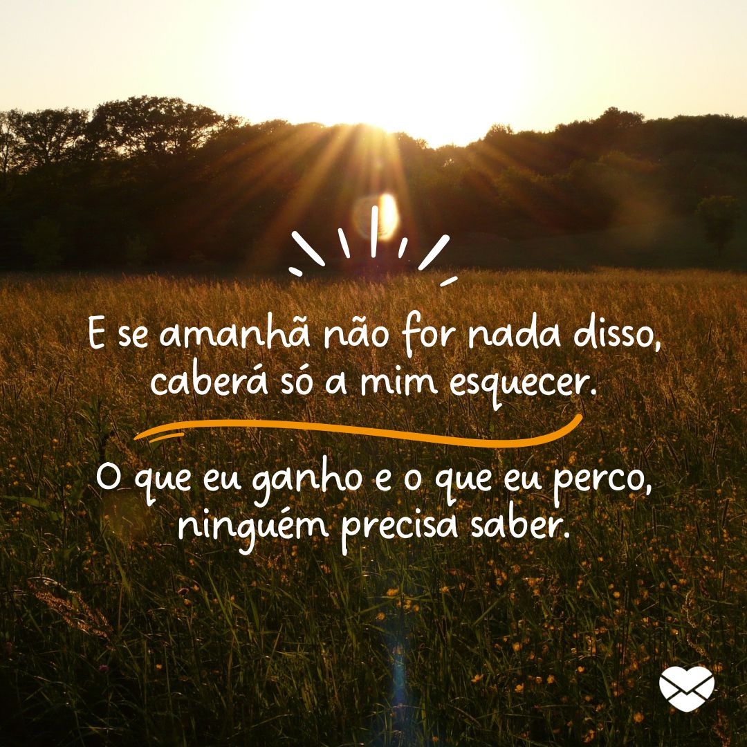 Bom dia, flor do dia: alegre o amanhecer de alguém! Bom dia, flor do dia: alegre o amanhecer de alguém!