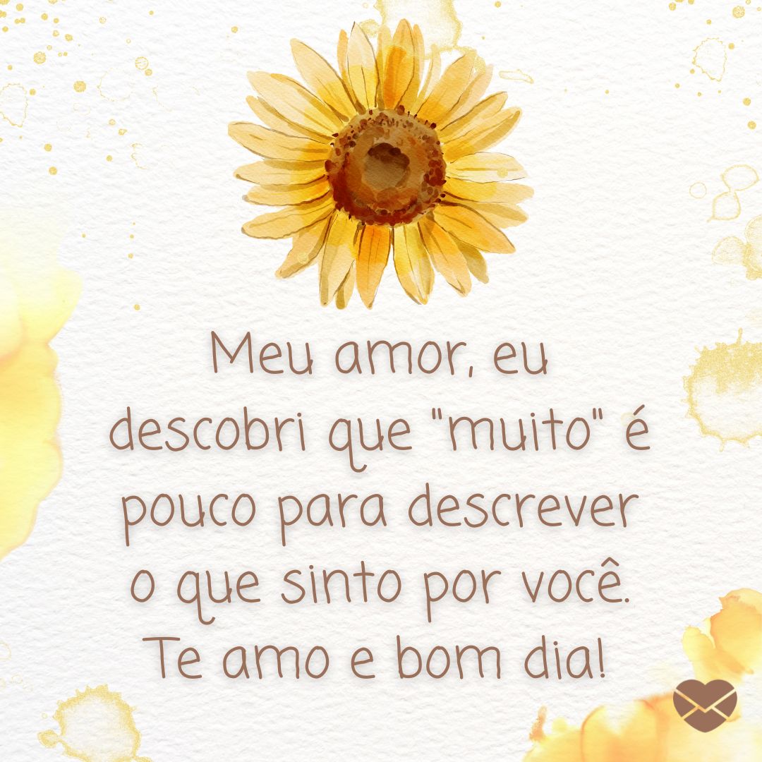 ''Meu amor, eu descobri que 'muito' é pouco para descrever o que sinto por você.Te amo e bom dia!'' -Bom dia flor do dia