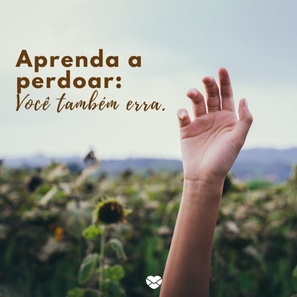 Frases Sobre Perdao E Amor Permita Se Sentir Intensamente frases sobre perdao e amor permita se
