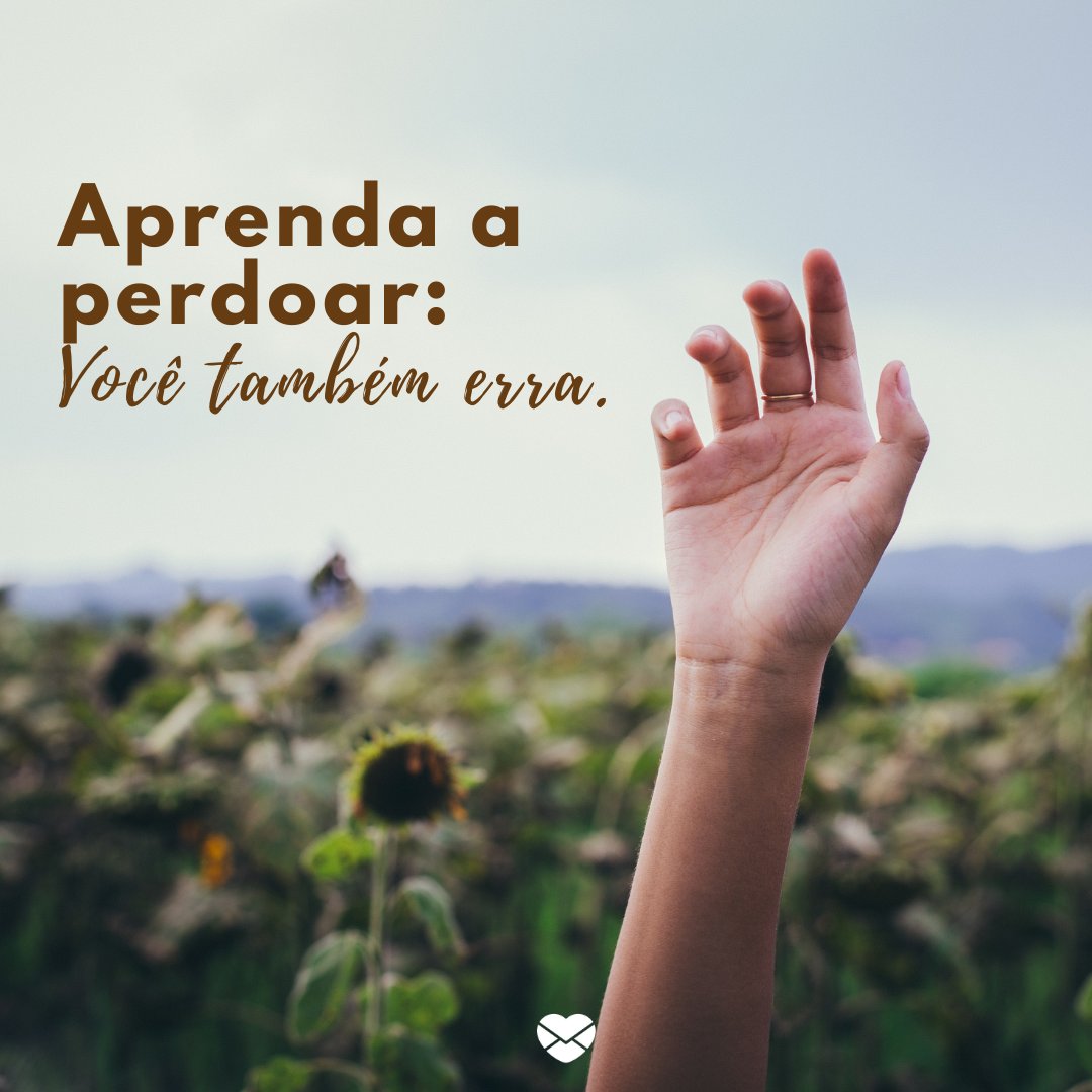 'Aprenda a perdoar: Você também erra.' -Frases sobre Perdão e Amor