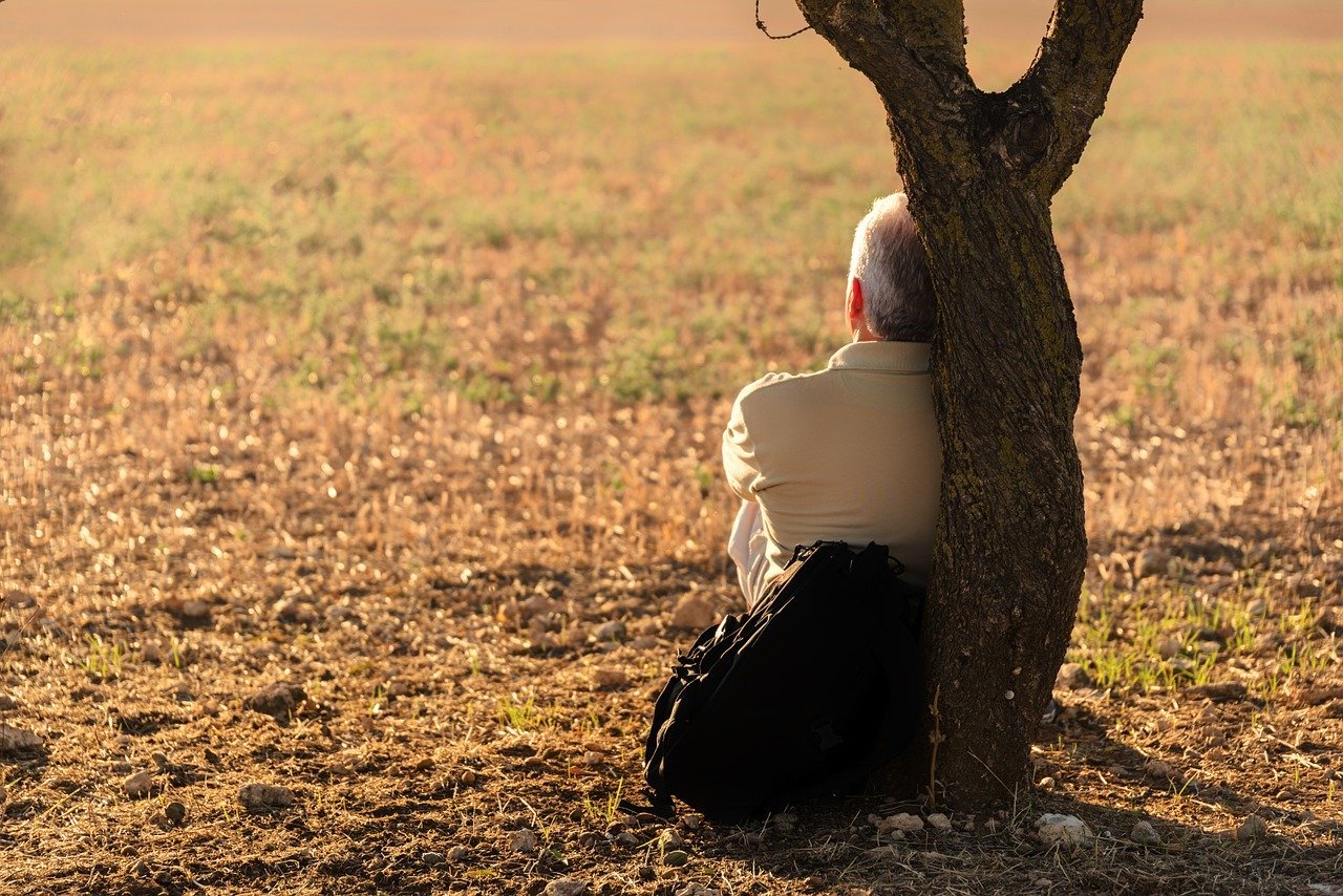 Homem idoso sentado em grama, apoiando as costas no tronco de uma árvore, em uma tarde ensolarada.