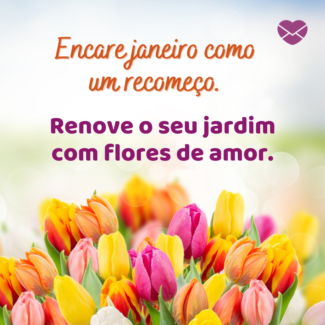 'Encare janeiro como um recomeço. Renove o seu jardim com flores de amor.' - Frases de Janeiro