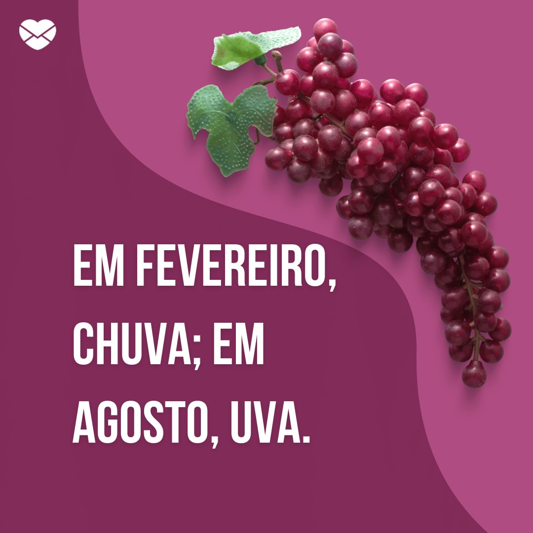 'Em Fevereiro, chuva; em Agosto, uva.' - Frases de Agosto