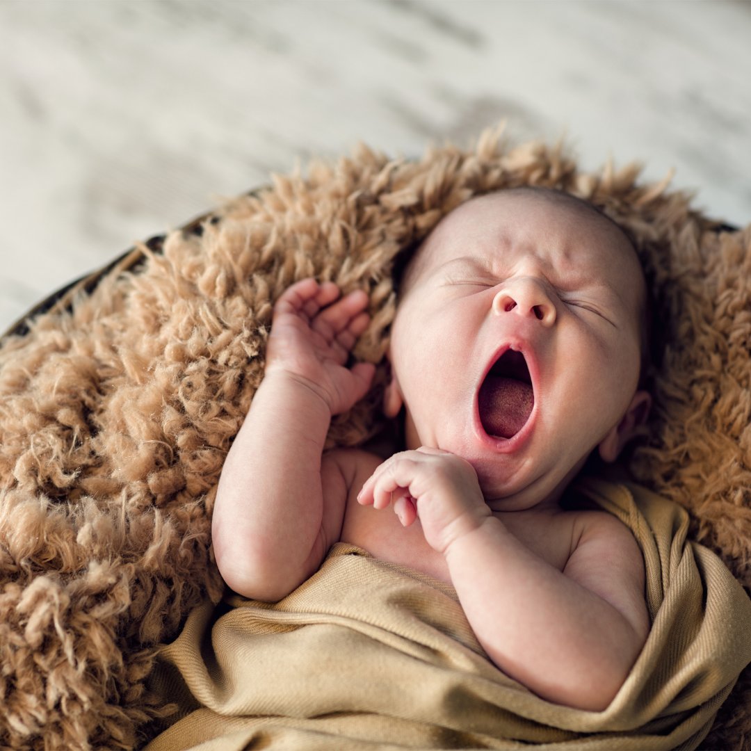 Bebê bocejando dentro de uma cesta